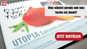 Saisonkalender Das Gibt S Im Februar Utopia De