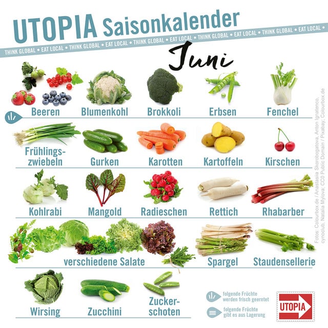 Saisonkalender Das Gibt S Im Juni Utopia De