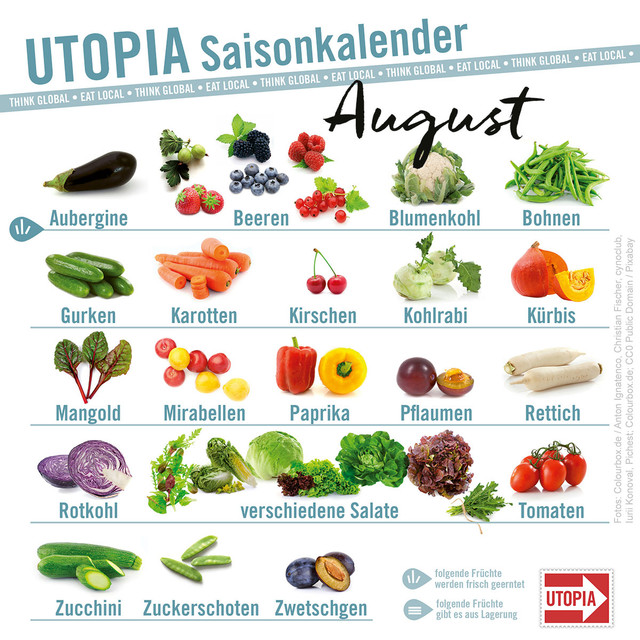 Saisonkalender Das Gibt S Im August Utopia De