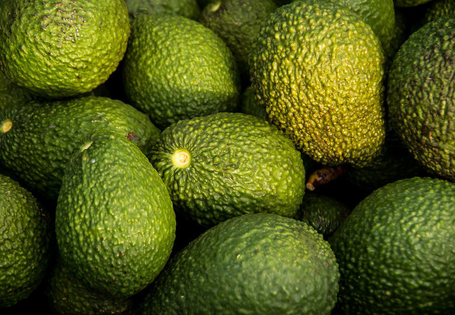 Avocado Haltbar Machen So Funktioniert Es Utopia De