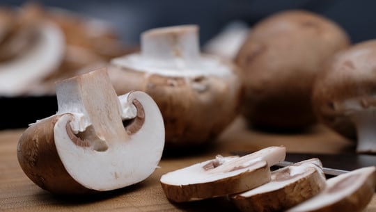 champignons-einfrieren-cc0-pixabay-bru-no-200820 Champignons einfrieren