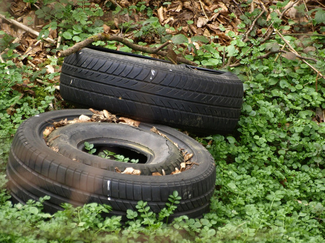 autoreifen-natur-pb-ariesa66-250723 Autoreifen - und deren Abrieb beim Fahren - sind ein unterschätztes Umweltporblem.