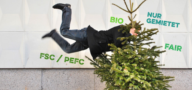 Alternativen zum Weihnachtsbaum: Bio, öko, gemietet & aus der Region