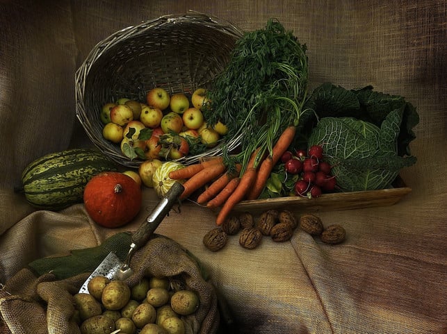 die-ernte-ist-ein-wichtiger-bestandteil-der-garten-cc0-pixabay-michi-nordlicht-230828_download Die Ernte ist ein wichtiger Bestandteil der Gartenarbeit im September.