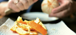zitronenschale orangenschale biomüll kompost