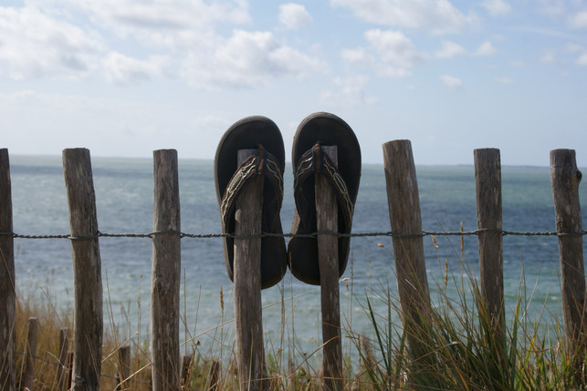 die-tiefenreinigung-deiner-flipflops-gelingt-mit-e-cc0--pixabay--schlumpf98-250819_download Die Tiefenreinigung deiner Flipflops gelingt mit einem einfachen Hausmittel.