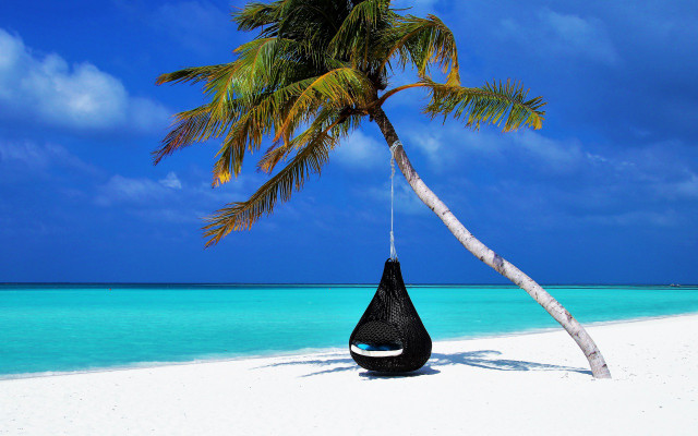 Urlaubs Tipps Urlaub Ferien Reise Stand Palme Urlaubs Tipps Urlaub Ferien Reise Stand Palme