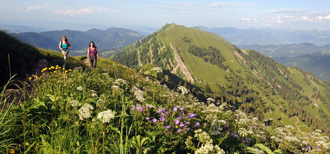 Wandern am Hochgrat Der Hochgrat der Nagelfluhkette (Foto: Thomas Gretler)