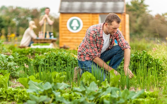 gemuese-ohne-garten-z-Ackerhelden-170308-1280x800 Acker mieten: Ackerhelden und Meine Ernte