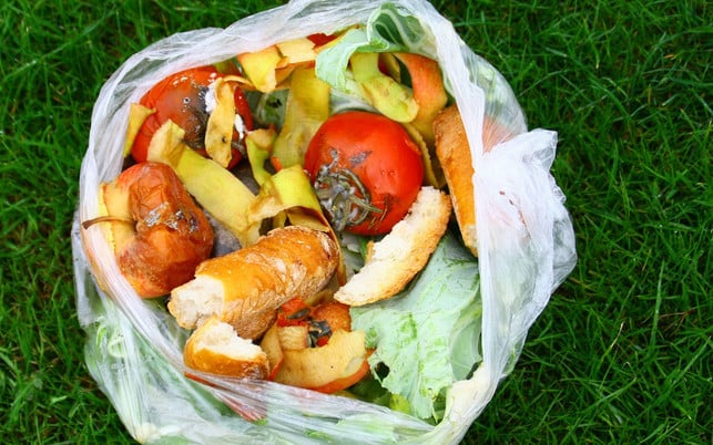 bioplastik-biomuelltueten-w-patryssia-211203-1280x800 Bioplastik darf nicht in den Biomüll