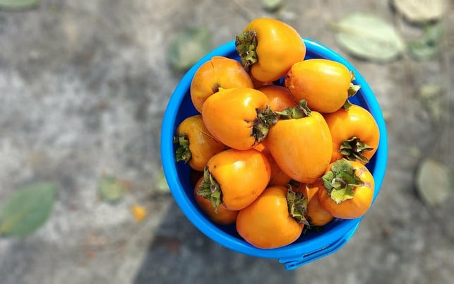 persimonen-stecken-voller-vitamine-cc0-pixabay-cywpekr-211214_download Persimonen stecken voller Vitamine.