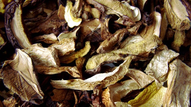 steinpilze-trocknen-cc0-pixabay-niebieskibanan-200914 Steinpilze trocknen