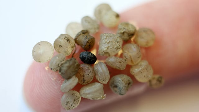 mikroplastik-auf-finger-Bernd-Wüstneck-dpa-Zentralbild-dpa-250305 Mikroplastikteilchen auf einem Zeigefinger