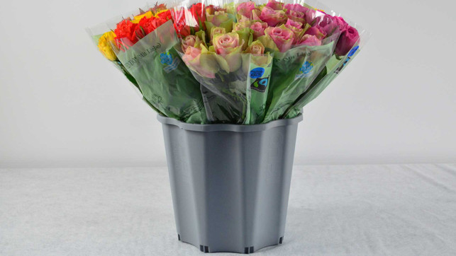 DSC_0002_PENNY_Schnittblumen_1920x1080px schnittblumen penny mehrweg