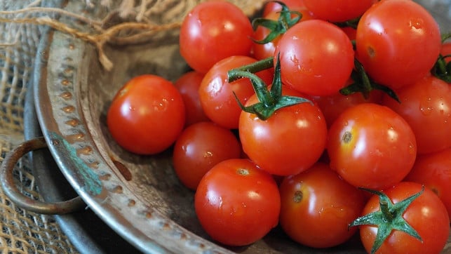 tomaten-und-lupinen-sind-eine-frische-leckere-kom-cc0-pixabay-ritae-200203_download Tomaten und Lupinen sind eine frische und leckere Kombination.
