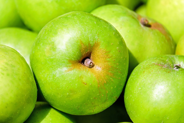 auch-gruene-aepfel-koennen-suess-schmecken-cc0-pixabay-couleur-240926_download Auch grüne Äpfel können süß schmecken.