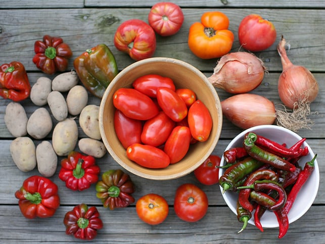 Gemüse-Genosse werden_0 Saisonales Gemüse, wichtig etwa bei Tomaten, die besser nicht aus dem Treibhaus kommen sollen