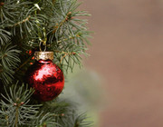 Weihnachtsbaum aufstellen