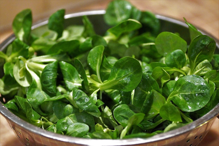 Feldsalat richtig zubereiten: Dieses Vitamin solltest du deinem Salat immer  hinzufgen - Utopia.de