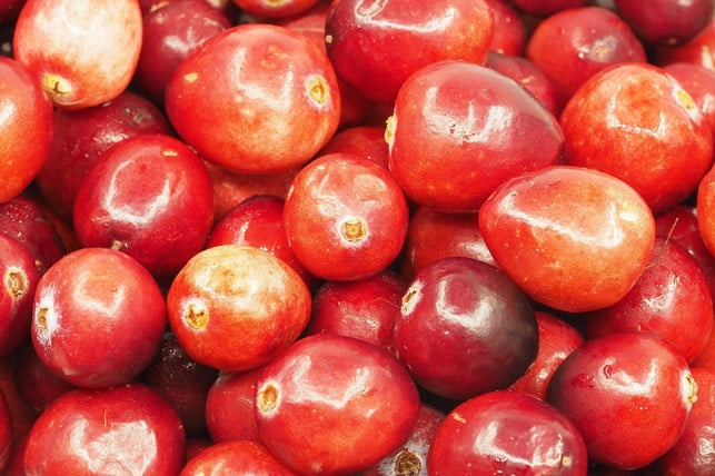 cranberrys-sind-deutlich-groesser-als-preiselbeeren-cc0-pixabay-eak_kkk-230906_download Cranberrys sind deutlich größer als Preiselbeeren.