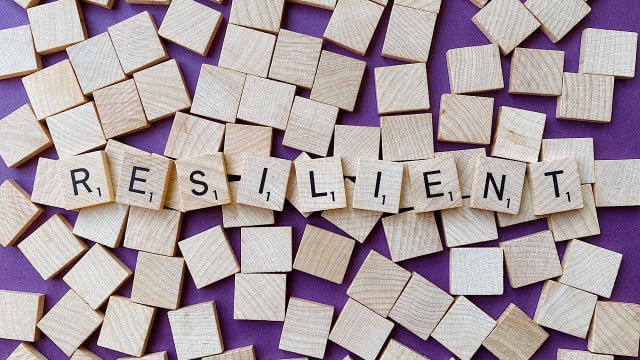 resilienz-widerstandsfaehigkeit-cc0-pixabay-wokandapix-201105 resilienz widerstandsfähigkeit