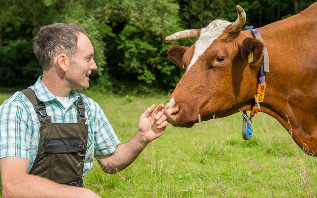 Heimische Milchbauern Heimische Milchbauern - Regionale Lieferkette