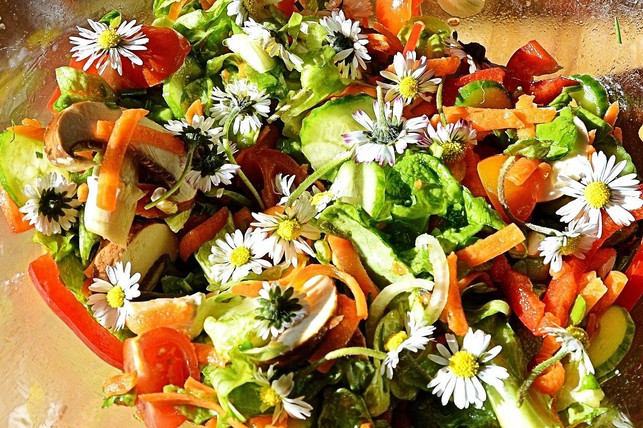 viele-blueten-sind-essbar-cc0-pixabay-lebemaja-210316_download Viele Blüten sind essbar.