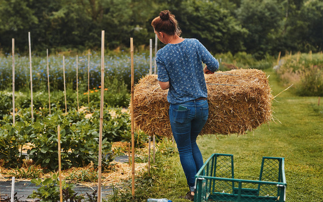 SA_Bild_Text_1_1280_800 bio blumen bouquet nachhaltig bloomon