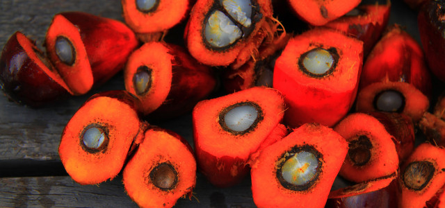 bio-palmoel-palmfruechte-cc0-pixabay-160909-1280x600 Palmöl: Ist Bio besser?