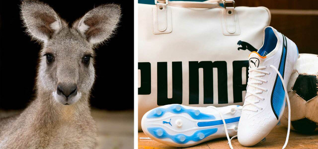 Känguruleder in Fußballschuhen: Puma stellt auf tierfreie Alternative um
