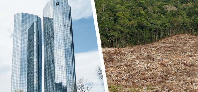 Deutsche Bank Abholzung