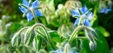 Gesundheit Seite 15 von 223 Utopia.de