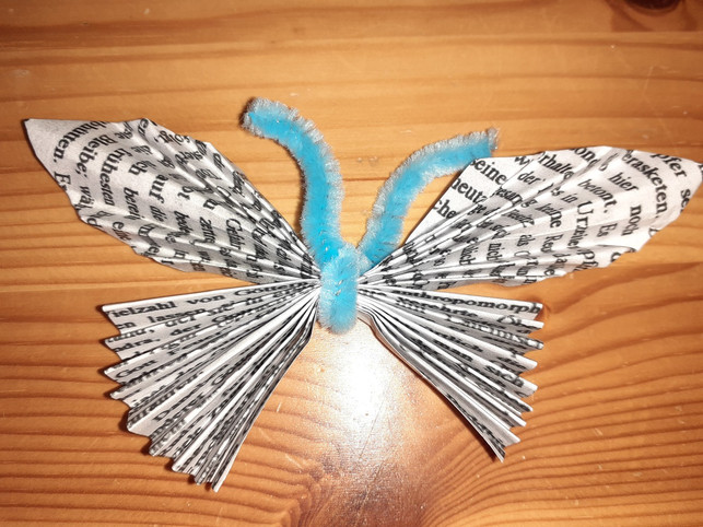 mit-dem-pfeifenreiniger-kannst-du-die-schmetterlin-utopiadechantal-gilbrich-191115_download Mit dem Pfeifenreiniger kannst du die Schmetterlingsflügel befestigen.