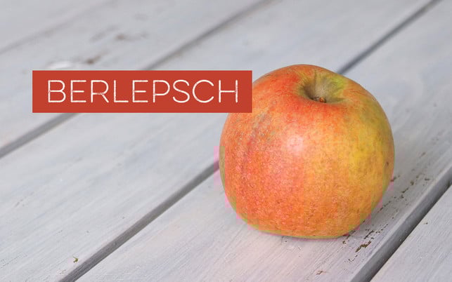 Apfelsorten bestimmen – Berlepsch Apfelsorten bestimmen – Berlepsch