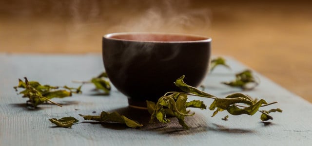 Sencha-Tee: Wirkung, Zubereitung und Besonderheiten des grünen Tees -  Utopia.de