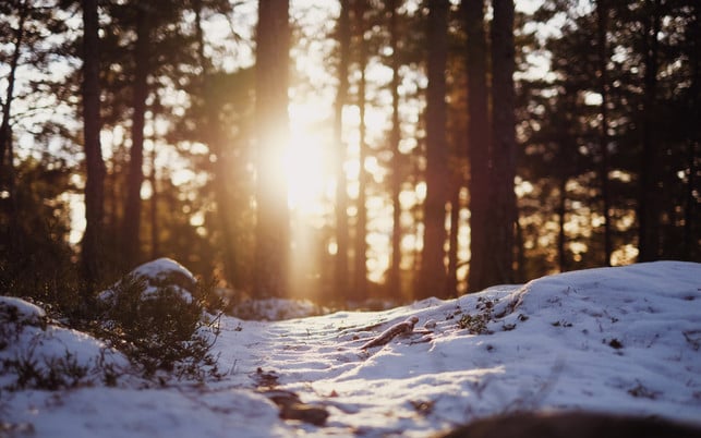 winterdepression-tageslicht-sonne-us-cc0-jonas-eriksson-211119-1280x800 Gegen Winterdepression hilft Tageslicht