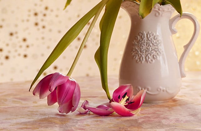 in-kalkhaltigem-wasser-verbluehen-tulpen-schnell-cc0-pixabay-oldiefan-191028_download In kalkhaltigem Wasser verblühen Tulpen schnell.