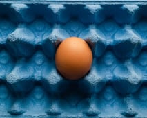 Ei-Ersatz zum Kochen und Backen: 6 Ideen für das vegane Ei