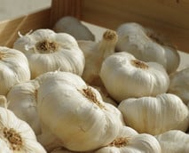 Knoblauch aufbewahren: So bleibt die Knolle frisch