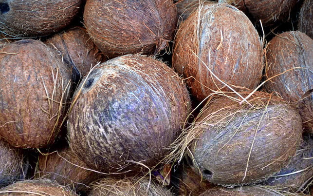 kokos-kokosnussr-cc0-pb-170224-1280x800 Kokosnuss: lange Transportwege, problematische Anbaubedingungen