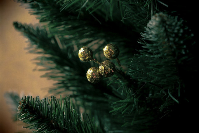 weihnachtsbaumschmuck-ist-geschmacksache-cc0-pixabay-avelly_-221213_download Weihnachtsbaumschmuck ist Geschmackssache.