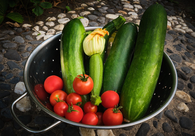 gefuellte-zucchini-schmecken-mit-einer-fuellung-aus-cc0-pixabay-danielkirsch-191125_download Gefüllte Zucchini schmecken mit einer vegetarischen Füllung aus Tomaten besonders gut.