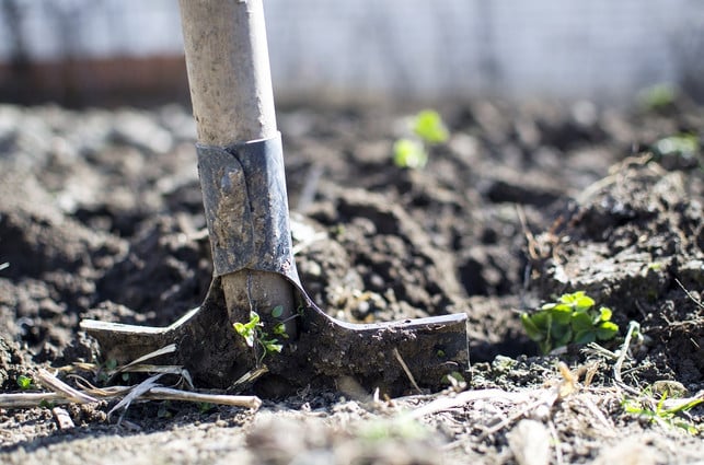 Garten umgraben Zeitpunkt, Geräte und Anleitung Utopia.de