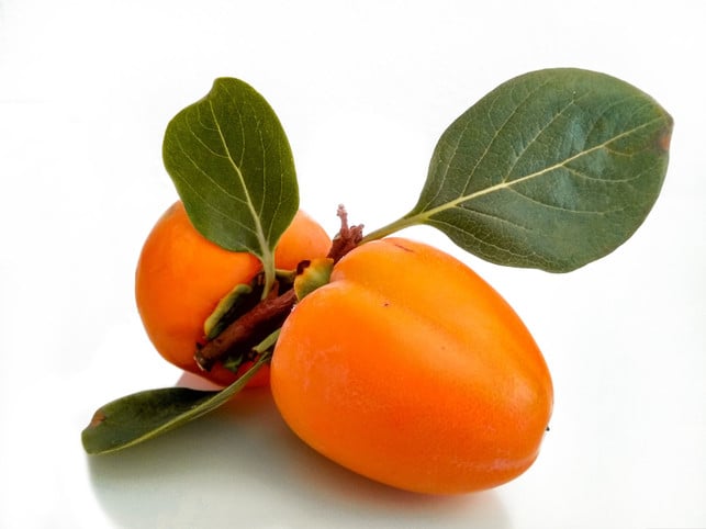 die-persimone-ist-eine-zuechtung-aus-spanischen-kak-cc0--pixabay--linart-251115_download Die Persimone ist eine Züchtung aus spanischen Kakisorten.