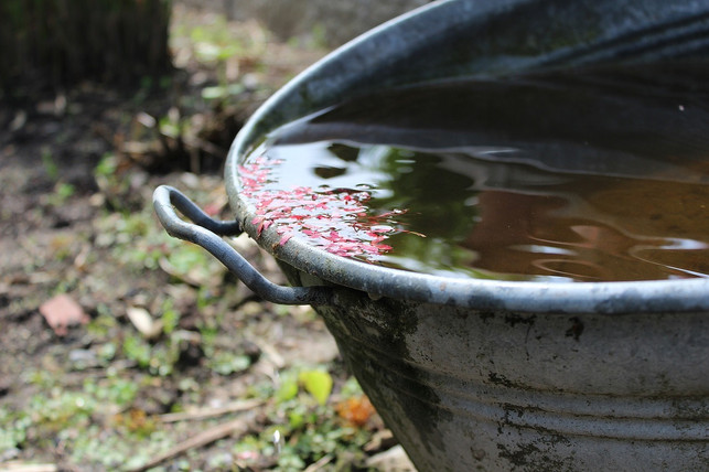 regenwasser-ist-viel-zu-wertvoll-um-einfach-in-de-cc0-pixabay-mrsbella-230329_download Regenwasser ist viel zu wertvoll, um einfach in der Kanalisation zu landen.