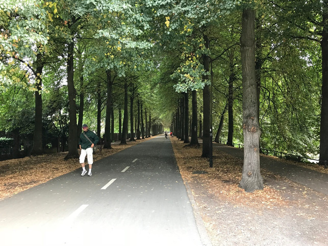 die-promenade-in-muenster-bietet-auf-ueber-vier-kilo-laura-mueller-200716_download Die Promenade in Münster bietet auf über vier Kilometern Platz für Fußgänger*innen, Radfahrer*innen und Inline-Skater*innen.