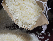 Reiswasser Haare