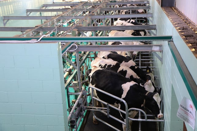 doku-milked-ist-die-milchindustrie-noch-zukunft-cc0-pixabay-kevinsphotos-220329_download Doku "Milked": Ist die Milchindustrie noch zukunftsfähig?