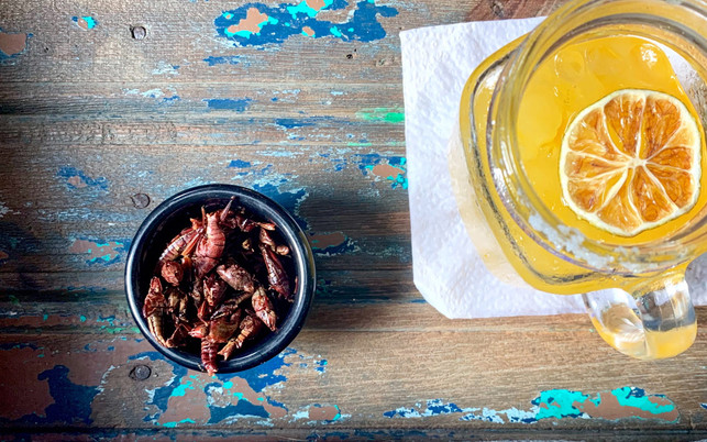 Essbare Insekten: Zukunftstrend Insekten essen? Essbare Insekten: Zukunftstrend Insekten essen?