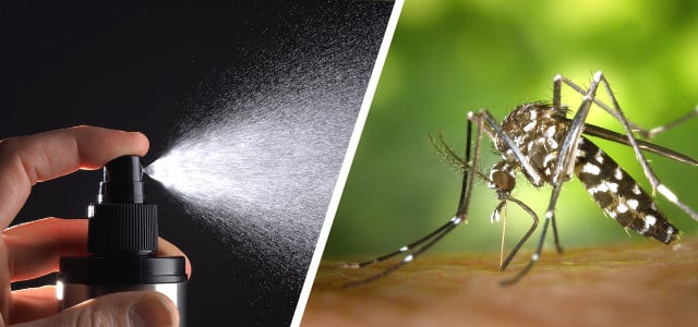 Mückenspray selber machen